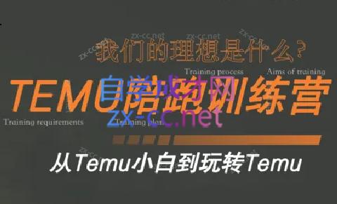 苗苗·拼多多跨境(temu)课程