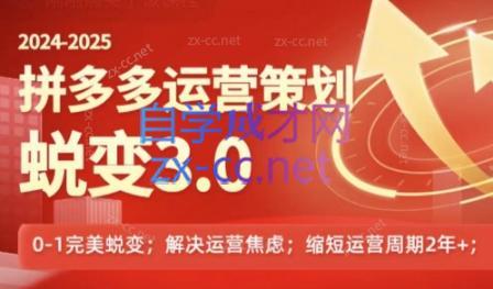 大力老师·2024拼多多运营策略蜕变3.0