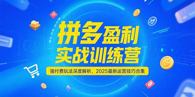 拼多多盈利实战训练营，强付费玩法深度解析，2025运营技巧合集-更新6月