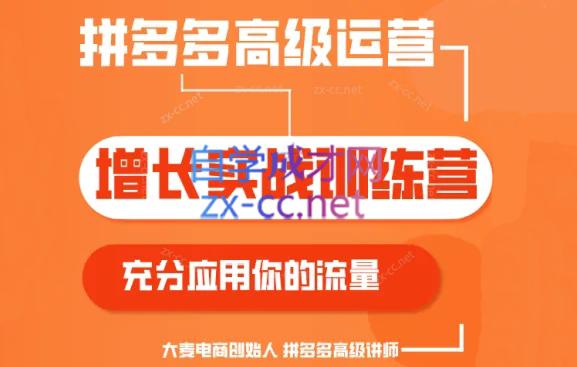 大麦老师·拼多多单品爆款打造课程(更新6月)