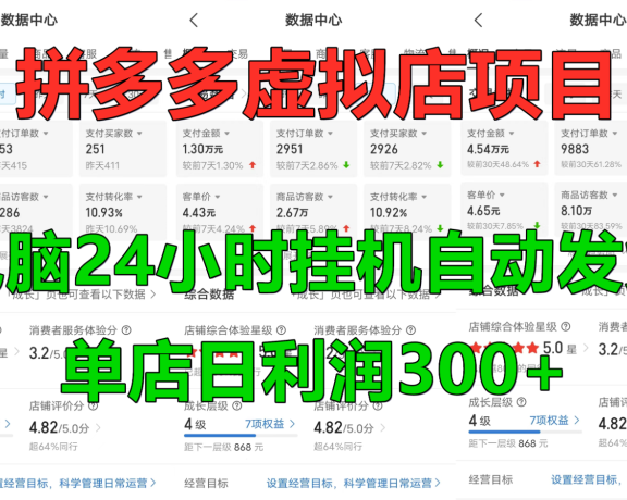 拼多多虚拟店铺项目，电脑挂机自动发货，单店日利润300+