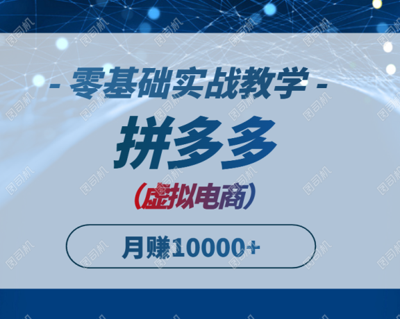 拼多多虚拟电商，零基础实战教学，快速打爆商品，新手也能月入10000+