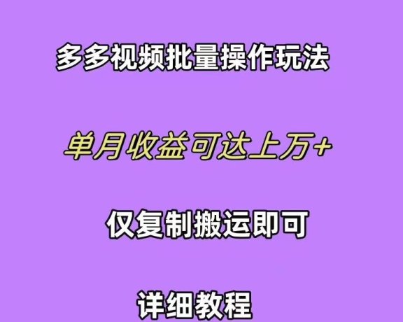 (10029期)拼多多视频带货快速过爆款选品教程 每天轻轻松松赚取三位数佣金 小白必…