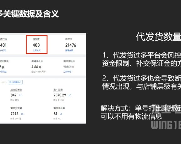 纪主任·拼多多年费会员(更新2025年1月)