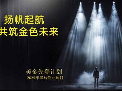 美金对冲创业项目，日收益1000-3000，小众暴力项目稳定运行8年