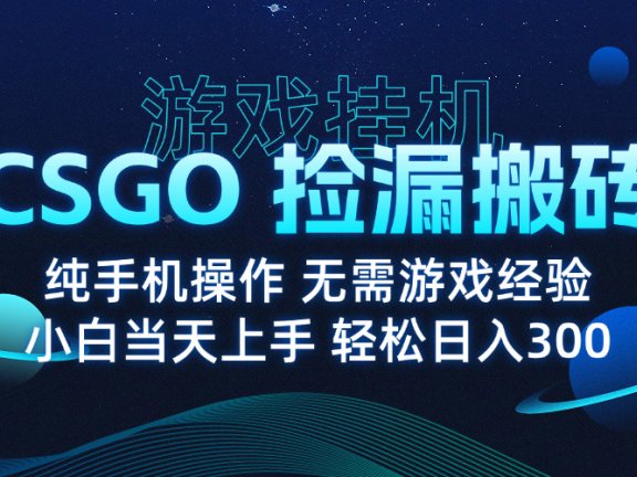 8月最新游戏搬砖，CSGO纯挂机，不需要玩游戏，实现真挂机，月入1W+
