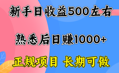 一台电脑，前期日收益300-500，熟练后日入1000左右