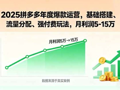2025拼多多年度爆款运营，基础搭建、流量分配、强付费玩法，月利润5-15万