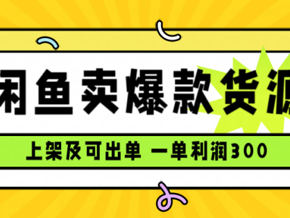 闲鱼卖爆款货源，每天利润1000，上架即出单